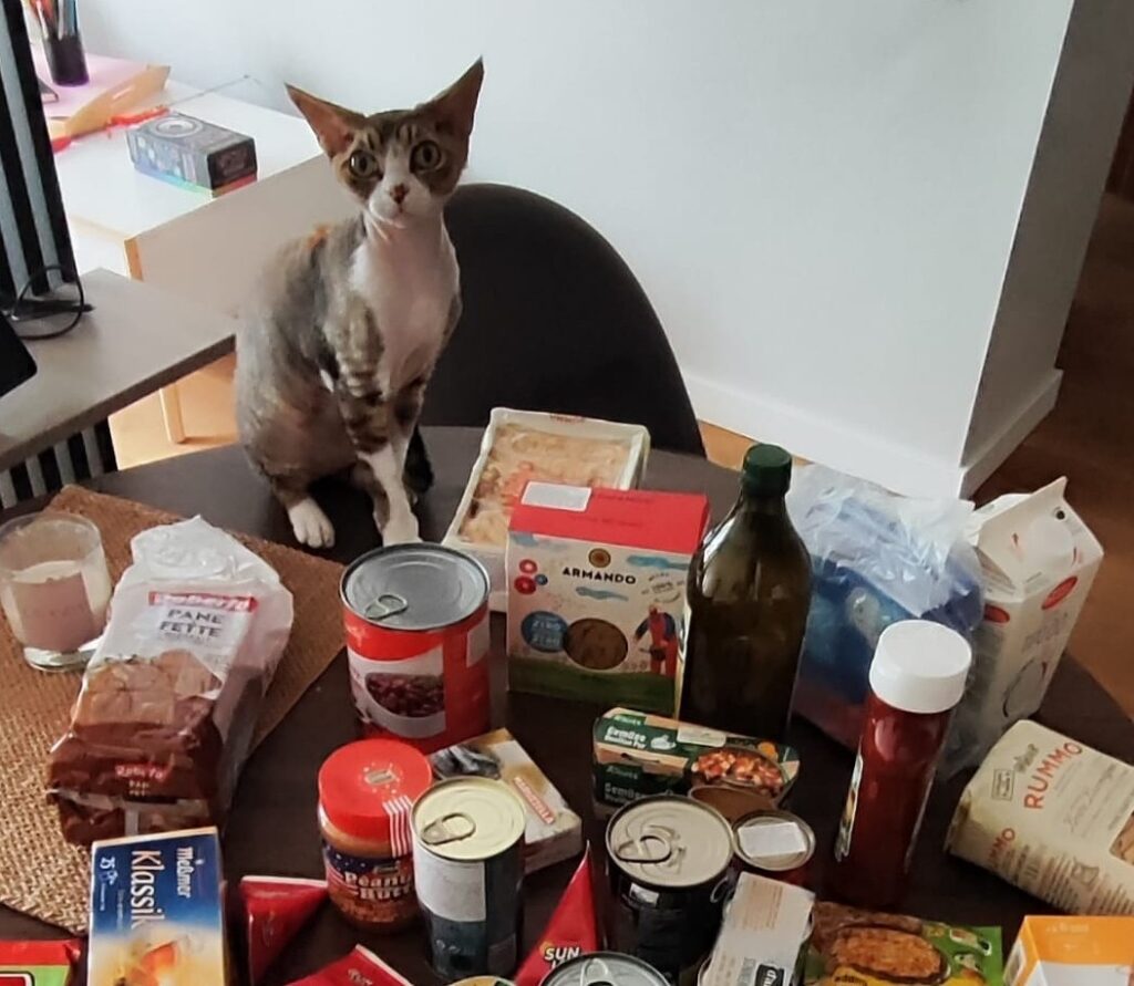 Kopā palīdzēt ir vieglāk – un arī sirsnīgāk!