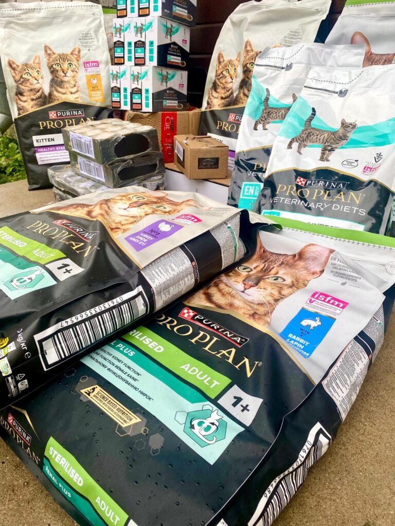 International Cat Day at the Jelgava Animal Shelter “Cat House”